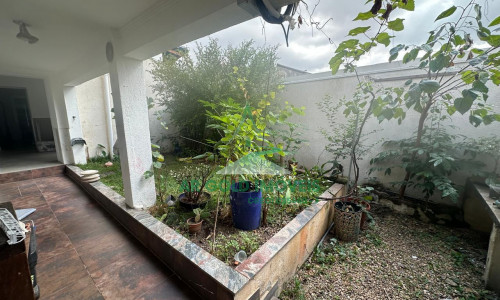 Oportunidade Única: Sobrado, Escritório e Casa de Luxo à Venda | Carandiru, Centro e Mangaratiba