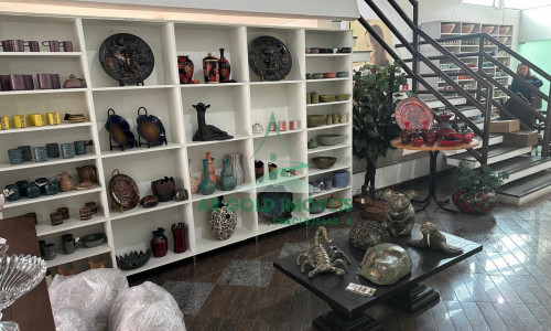 Oportunidade Única: Sobrado, Escritório e Casa de Luxo à Venda | Carandiru, Centro e Mangaratiba