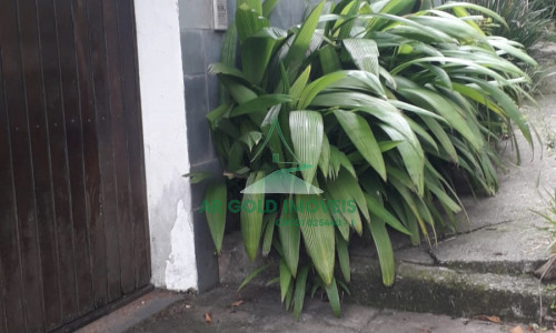 Casa para locação em Perdizes | 430m² | 7 dormitórios | 4 vagas | Uso comercial ou residencial