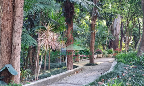 Sobrado em condomínio à venda no Butantã | 179m² | 3 suítes | 3 vagas | Bosque