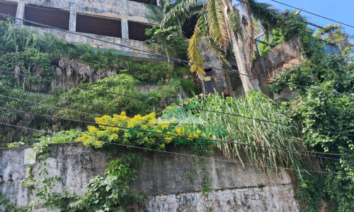 Prédio residencial 3 pavimentos com 1.200m² | Ilha Porchat | vista e potencial