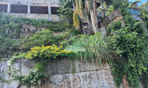 Prédio residencial 3 pavimentos com 1.200m² | Ilha Porchat | vista e potencial