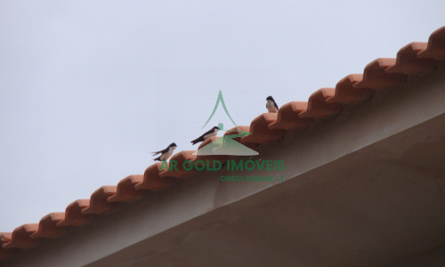Chácara à Venda em Araçoiaba da Serra | 5.050m² | Sobrado com 4 Suítes | Vista Panorâmica